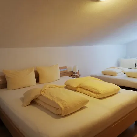 Activ-family-apart-wisiol-pitztal Sommercard Inklusive Apartment *