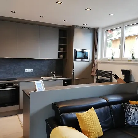 Apartmán Activ-family-apart-wisiol-pitztal Sommercard Inklusive