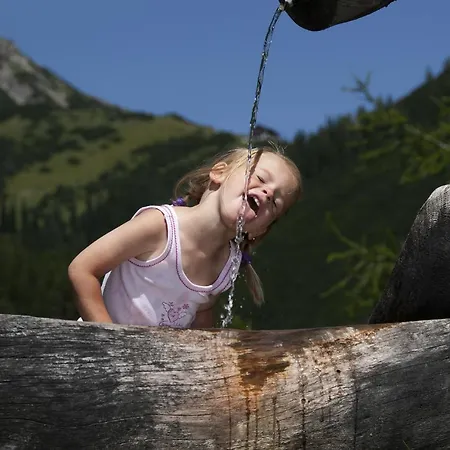 Activ-family-apart-wisiol-pitztal Sommercard Inklusive Appartamento